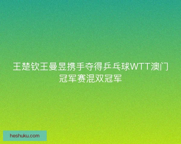 王楚钦王曼昱携手夺得乒乓球WTT澳门冠军赛混双冠军